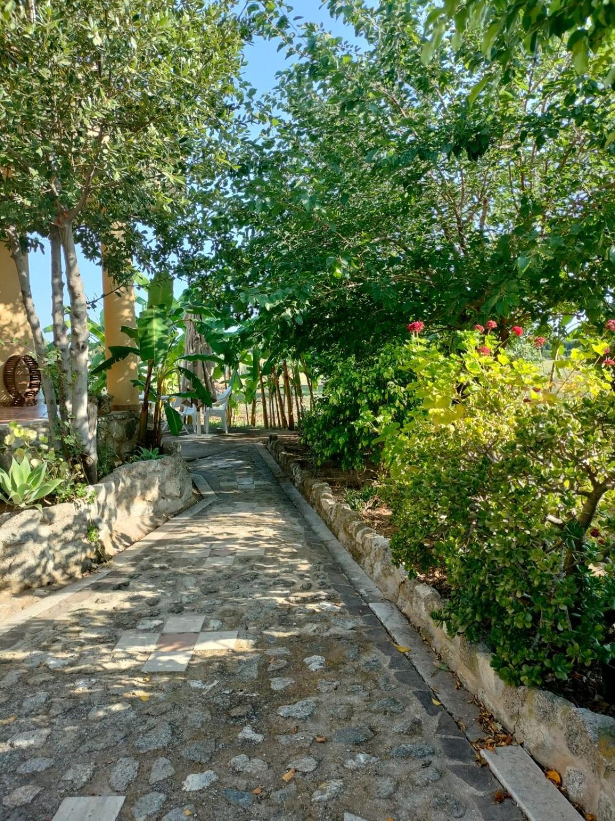 A Turri Hotell Capo Vaticano Exteriör bild